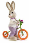 Decorer Figurina Iepuras Paste Boy cu bicicleta din fibre naturale 26x13x35 cm (A58.08.27A)