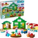 LEGO® DUPLO® - Nagypapi kertje és üvegháza (10461)
