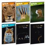 Ars Una Máté Bence Wild Life Moments A/4 extra kapcsos füzet-vonalas (53111081)