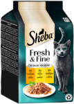 Sheba 12x50g Sheba Fresh & Fine pulyka, csirke & szárnyas aszpikban nedves macskatáp