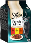 Sheba 12x50g Sheba Fresh & Fine marha, csirke & bárány szószban nedves macskatáp