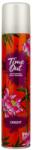  Time Out Orient száraz sampon 200 ml