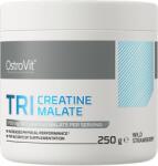 OstroVit Tri Creatine Malate (250 Gr) Wild Strawberry