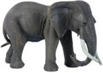 Comansi Little Wild elefánt figura (LW12003)