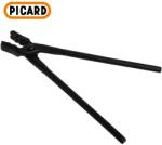 Picard 0004900-600 Cleste