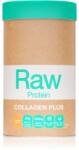 Amazonia Raw Protein Collagen Plus 450 g