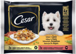 Cesar nedveseledel ízesített mix 5, 2 kg