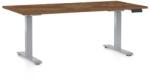 Rauman OfficeTech D állítható magasságú asztal, 160 x 80 cm, szürke alap, silverjack tölgy