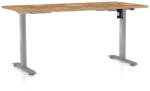 Rauman OfficeTech A állítható magasságú asztal, 160 x 80 cm, szürke alap, arany tölgy