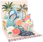  Popshots képeslap, négyzet, páva (P1547)