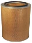 FILTRON Filtru aer FILTRON AM 438 (AM 438) - fixbox