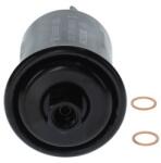 Bosch Filtru combustibil injectie benzina BOSCH 0 986 450 107 (0 986 450 107)
