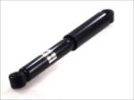 Magnum Technology Amortizor MAGNUM TECHNOLOGY AGW069MT (AGW069MT) - fixbox