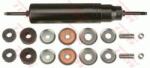 TRW Amortizor TRW JHB5024 (JHB5024) - fixbox