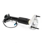 Arnott Amortizor Arnott SK-3816 (SK-3816) - fixbox