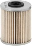 FILTRON Filtru combustibil FILTRON PM 816/1 (PM 816/1) - fixbox