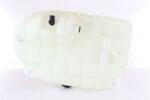 NISSENS Vas de expansiune, racire NISSENS 996088 (996088)