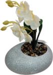  Orchidea művirág kavics cserépben - 12x10x18 cm, stílusos dísznövény (1223905)