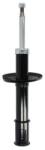 Magnum Technology Amortizor MAGNUM TECHNOLOGY ulei fata AHR041MT (AHR041MT)