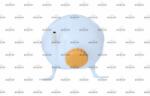 NRF Vas de expansiune, racire NRF 454084 (454084)