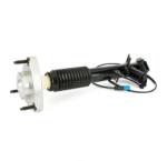 Arnott Amortizor Arnott SK-3817 (SK-3817) - fixbox