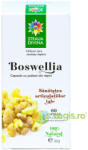 Steaua Divina Boswellia 60 comprimate