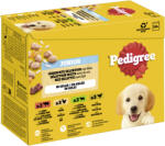 PEDIGREE 24x100g Pedigree Junior nedves kutyatáp - Vegyes csomag aszpikban