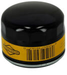 Briggs Motorolajszűrő Briggs Vanguard (842921)