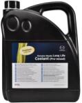 MAZDA Antigel MAZDA FL22 Preparat 5L Verde (L247-CL-0054X)