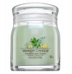Yankee Candle uborka-menta illatosító 368 g (1728904E)