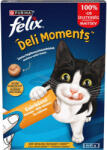 FELIX Macska jutalomfalat csirke 4x10g