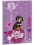 Ars Una Ars Una: Cute Animals - Puppy tacskó mintás gumis mappa A/4 (50213696)