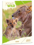 Ars Una Ars Una: Máté Bence Icons of the Wild-Lions A/4 gumis dosszié (50215041)