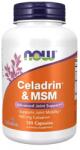 NOW Celadrin & MSM 500 mg (120 kapszula) - izületerősítő 120 kapszula