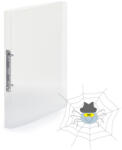 KARTON P+P PP Gyűrűskönyv A4, 2 gyűrűs 2cm gerinc áttetsző - transzparens