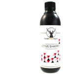 Daniel Washington Active Shampoo 500ml (Szampon)