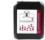 Daniel Washington Active Shampoo 5L