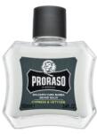 Proraso Cypress And Vetiver balsam Beard Balm 100 ml