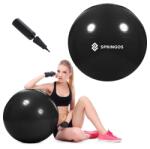 Springos Fb0014 Gimnasztikai Labda Pumpaval 65 Cm (fb0014)