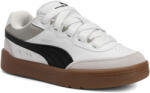PUMA Park Lifestyle SK8 férfi cipő 45 fehér|szürke