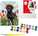 MH Protect Számok szerinti festőkészlet Lovely Labrador KHO6621 30x40 AP0055