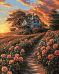 Oh Art! Set pictura pe numere, cu sasiu, Drumul catre casa, 40x50 cm (ANG897)