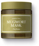I’m From Mugwort Mask 110 g - vince Masca de fata
