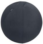 Leitz Minge de exerciții Leitz Ergo 55cm gri închis Minge fitness
