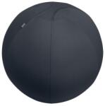 Leitz Minge de exerciții Leitz Ergo 75 cm gri închis Minge fitness