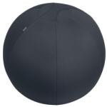 Leitz Minge de exerciții Leitz Ergo 65cm gri închis Minge fitness