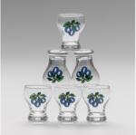 Výrobce po 1 ks Készlet 6x likőrös üveg átlátszó - szilva 8590828624875 (KK01083D)