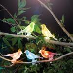 Garden of Eden Szolár fényfüzér - madárka, csipeszes - 80 cm - 5 színes, RGB LED (11787) - hasznos-holmik