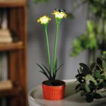 Garden of Eden Szolár színes virág - 8 x 8 x 32 cm - 10 melegfehér LED - sárga (11735C)