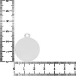 NASSIA Link Argint - pentru colier - banut 2.5cm pentru gravat (ENG-AG-38)
